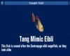 Tang Mimic Eibli.png