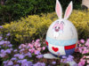 white-rabbit-easter-egg--large-msg-130350191256.jpg