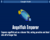 Angelfish Emporer.png