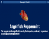 Angelfish Peppermint.png