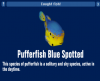 Pufferfish Blue Spotted.png